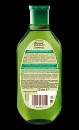 Шампунь Garnier Botanic Therapy Зелений чай, евкаліпт і цитрус, для нормального і схильного до жирності волосся, 250 мл - мініатюра 2