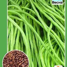 Вигна "Китайська" (Великий пакет) ТМ "Весна" 2г (32694)