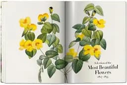 Redoute. The Book of Flowers - мініатюра 7
