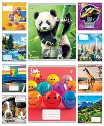 Зошити учнівські 18 аркушів лінія Тверда Мікс 1, 20 шт. в упаковці