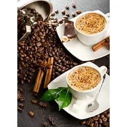 Алмазна мозаїка Strateg ПРЕМІУМ Зустріч на каву без підрамника розміром 50х65 см (SGK85901)