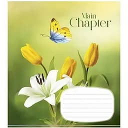 Тетрадь ученическая Cool adventures Школярик 018-3192K-5 в клетку 18 листов