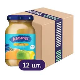 piure-karapuz-yabluko-harbuz-aiva-2-04-kh-12-sht-kh-170-h