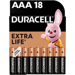 Щелочные батарейки мизинчиковые Duracell 1.5 V AAA LR03/MN2400, 18 шт. (737056)
