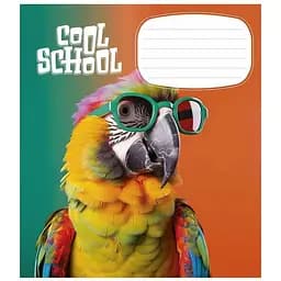 Тетрадь общая Школярик Star Cool School в линию 12 листов 30 шт. (012-3307L)