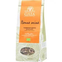 Чай трав'яний Les Jardins de Gaia Healthy Glow органічний 70 г