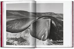 Sebastiao Salgado. Genesis. 45th Edition - мініатюра 3