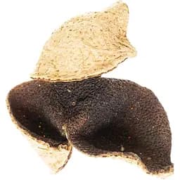 Цитрусовий чай Витриманий Гуандунський Чень Пі з Сіньхуей 2018 - 50 г