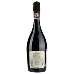 Ігристе вино Medici Ermete Concerto Lambrusco Reggiano Frizzante DOC червоне сухе 11.5% 0.75 л - мініатюра 2