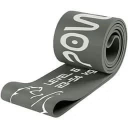 Еспандер-петля PowerPlay 4115 Power Band (гумка для фітнесу і кроссфіту) Сіра (23-54 кг) (PP_4115_Grey_(23-54 kg))