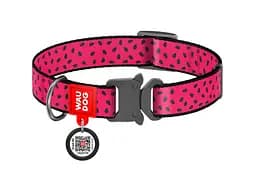 Ошейник для животных WAUDOG Nylon "Арбуз" металлическая пряжка-фастекс L (5148)
