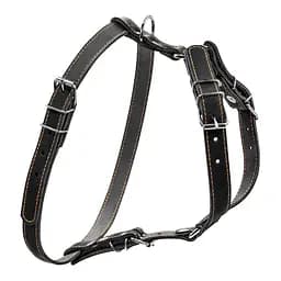 Шлея одинарная CoLLaR для мелких и средних собак (4820082492700)