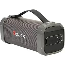 Колонка портативна Beecaro Cigii F62D