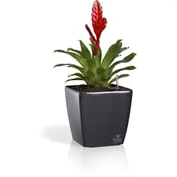 Вазон Plastkon Quadrato Flower Lover із системою автополиву 25x25x24 см глянцевий антрацит - мініатюра 3