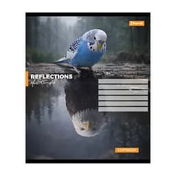 Упаковка зошитів 1В Inner strength А5/24 кл. 20 шт. (768960) - мініатюра 4