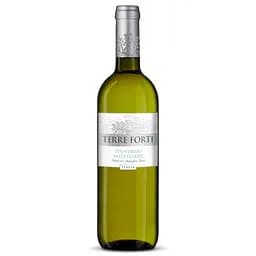 Вино Terre Forti Pinot Grigio delle Venezie, 12,5%, 0,75 л (549368)