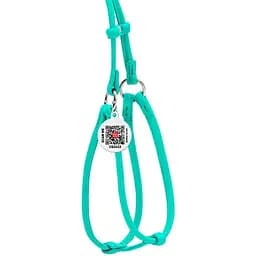 Шлея з повідцем для собак Waudog Glamour, шкіряна, кругла, з QR паспортом, 42-60х46-64х0,6/105 см, ментоловий (340213) - мініатюра 2