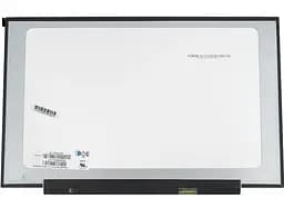 Матриця 17.3" NT173WDM-N25 1600х900, 30pineDP, LED, SLIM без планок та вушок, матова, роз'єм справа внизу для ноутбука