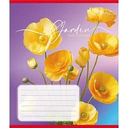 Зошит учнівський "Естетика" Leader 024-550443K-2 в клітинку, 24 аркуші