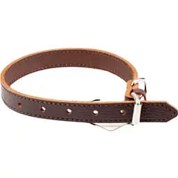 Ошейник для собак Agility из ременной кожи 35-45х2 см коричневый