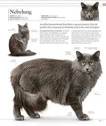 The Cat Encyclopedia - мініатюра 9