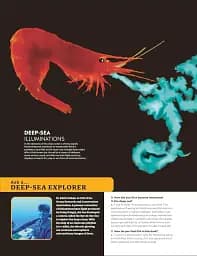 Eyewitness Encyclopedia of Animals - мініатюра 4