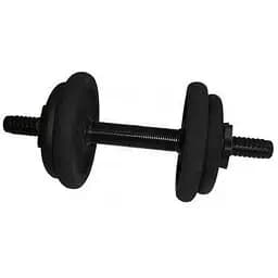 Гантель складальна лита Newt 6.5 кг NE-300-GP007