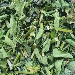 100 г лофант тибетский трава сушеная - свежий урожай