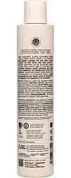 Шампунь для приборкання волосся PREVIA ALMOND & LINSEED OIL 250 мл - мініатюра 2