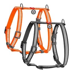 Шлея для собак водостійка анатомічна Н-подібна Waudog Waterproof з QR-паспортом світловідбивна пластикова пряжка-фастекс S Ш - мініатюра 2
