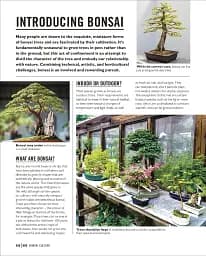 Grow Bonsai - мініатюра 5