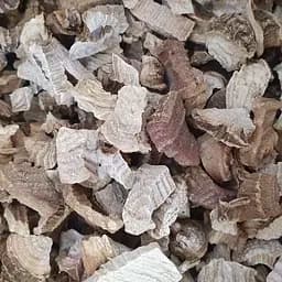 100 г лаконос/фитолакка корень сушенный - свежий урожай