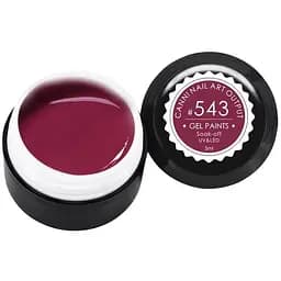 Гель-фарба Canni №543, 5 мл бордова