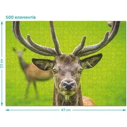 Пазл DoDo Граціозний олень, 500 елементів (300538) - мініатюра 2