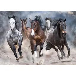 Пазли тришарові Interdruk Horses 3, 1000 шт. (384980) - мініатюра 2