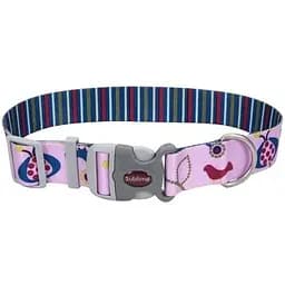 Нашийник для собак Coastal Sublime 1,9 х 20-30 см (26621_FBS12)