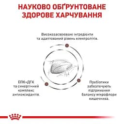 Корм для котів Royal Canin Gastrointestinal при порушенні травлення 4 кг (3905400) - мініатюра 3