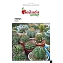 Насіння квітів Садиба Центр Кактус суміш 0.1 г (000003491)