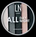 Тени для век LN Professional All Day All Night Eyeshadows, тон 02, 8,2 г