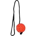 Іграшка для собак TatraPet Dental Fun м'яч на мотузці гума 7.2х50 см  