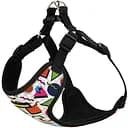 Шлея для собак Bronzedog Sport Геометрия S 16х14х2 см