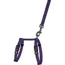 Шлея для кошек и собак мелких пород BronzeDog Urban Fruits Вишни с поводком XS 18-27 см