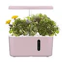 Смарт-вазон ABIS автономна гідропонна система Рожевий (IGS-39P)
