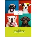 Щоденник учнівський Апельсин Мій щоденник Стандарт АП-0103-7 на скобі