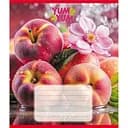 Тетрадь ученическая Фрукты 036-580143L-1 в линию, 36 листов