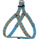 Шлея для собак BronzeDog Urban Fruits Кексы M 45-56 см