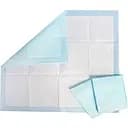 Пелюшки All-Absorb Basic для собак 60х90см 10 шт.