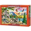 Пазл Castorland Семья волков и орлы 1000 эл. (C-104970)