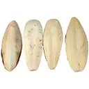 Мінеральний камінь для птахів TatraPet Fantasia з панцира каракатиці без утримувача 22-25 см