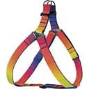 Шлея для собак BronzeDog Urban Art Градиент L 58-71 см